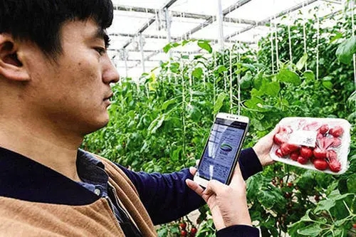 Iot solutions for smart agriculture: The role of technologic